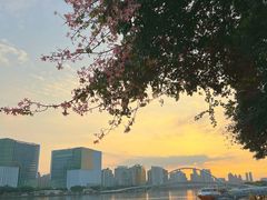 -海心沙亚运公园