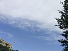 -广百家超市(大东海店)