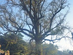 -普陀山风景名胜区-法雨禅寺