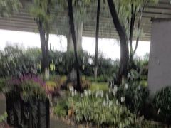 -大妙火锅·非物质文化遗产(东湖公园店)