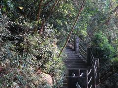 -梧桐山风景名胜区