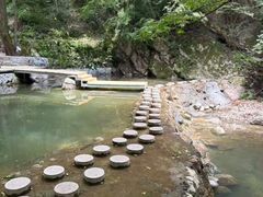 -牛背梁国家森林公园