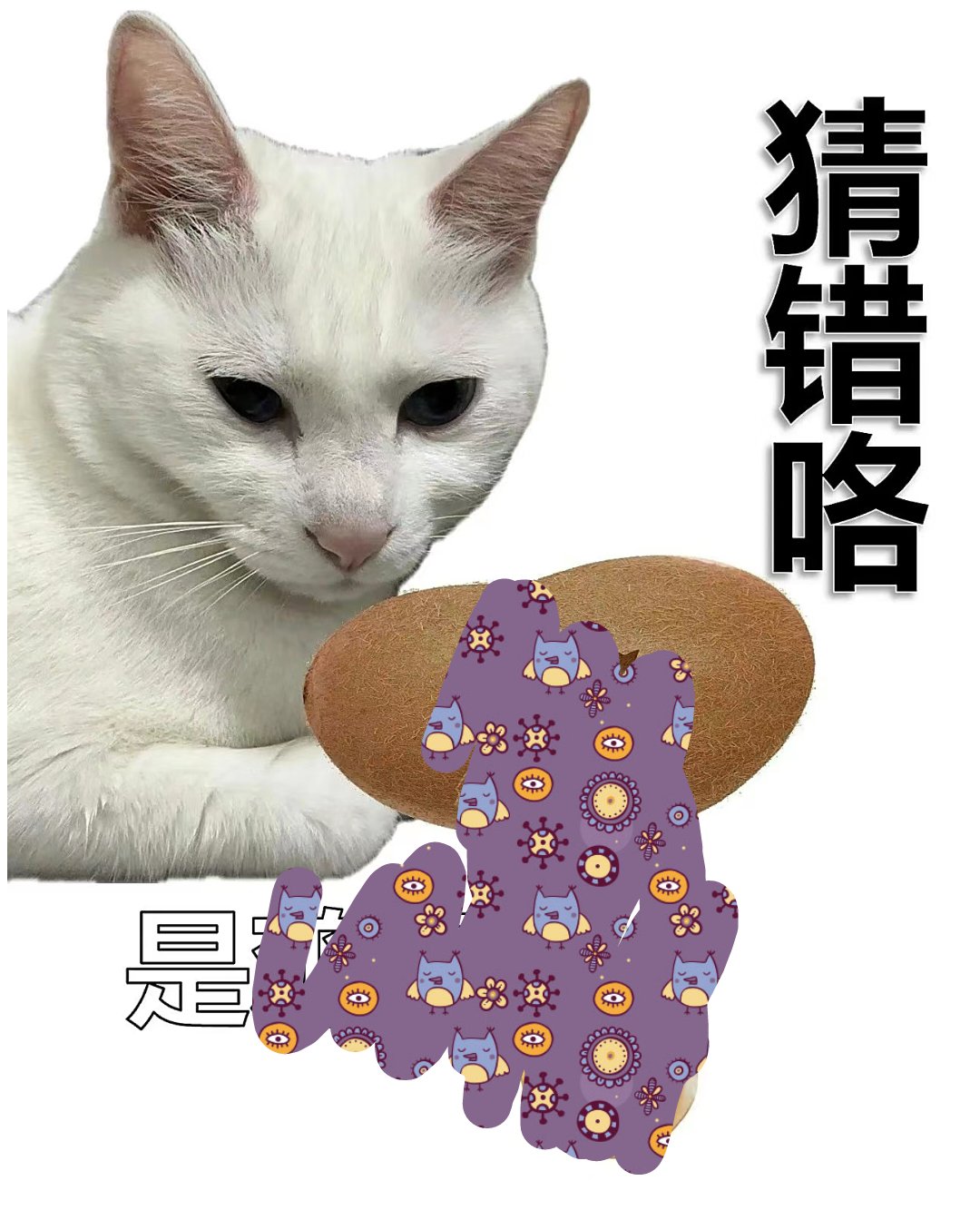 昨日猜猜大揭秘 你猜对了吗?