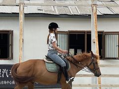 -北京群众马术培训基地