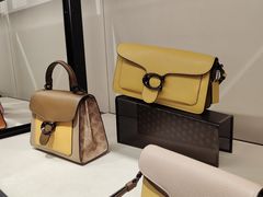 -COACH蔻驰(华润万象城店)