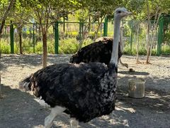 -水上乐园·欢乐世界