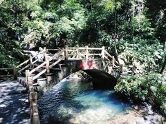 -梦幻奥陶纪景区