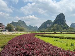 -靖西鹅泉风景区