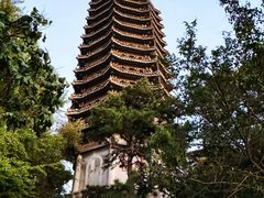 -北京大学百年讲堂