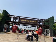 -杭州湾海上花田景区