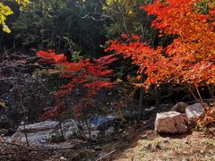 -大连天门山国家森林公园
