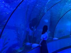 -泉城欧乐堡海洋极地世界