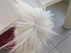 -怪兽屋·羊驼·猫咖·狗咖(俊华广场店)