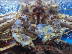 -徐记海鲜(汉城湖|太奥店)