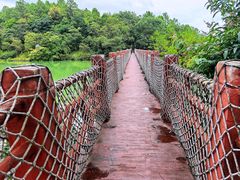 -广州白江湖森林公园