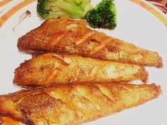 -比格比萨自助(万柳华联店)