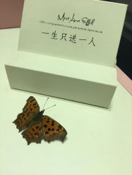 点击看大图 -世纪缘珠宝(济南品牌店)