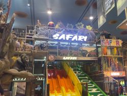 -卡通尼·Safari非洲探索乐园·生日会(金桥国际商业广场店)