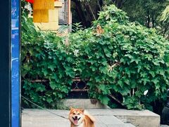 -华盛丰温州大排档(东三环南路店)