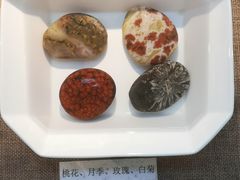 -中华赏石园