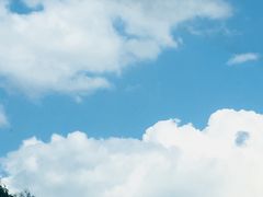 -世界恐龙谷景区