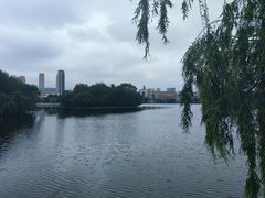 -莱西月湖公园