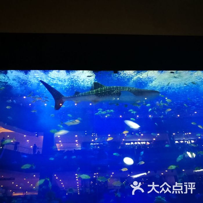 海濱城浩海立方海洋館