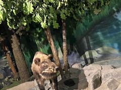 -吉林省自然博物馆