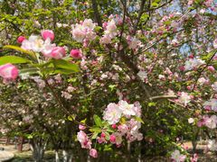 -元大都城垣遗址公园