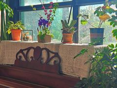-北马山庄植趣咖啡