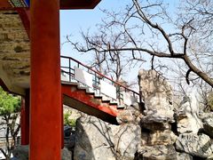 -莲花池公园