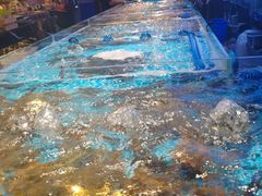 -山海•蒸汽活海鲜自助(皇庭广场店)