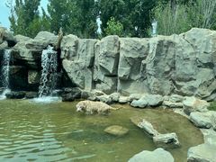 -北京野生动物园