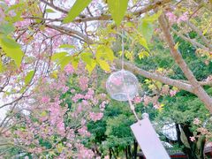 -宝墨园景区