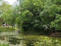 -洋湖国家湿地公园