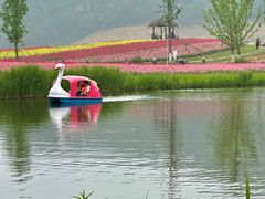 -径山花海