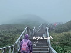 -苍山感通索道