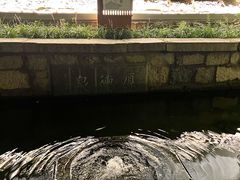 -百花洲