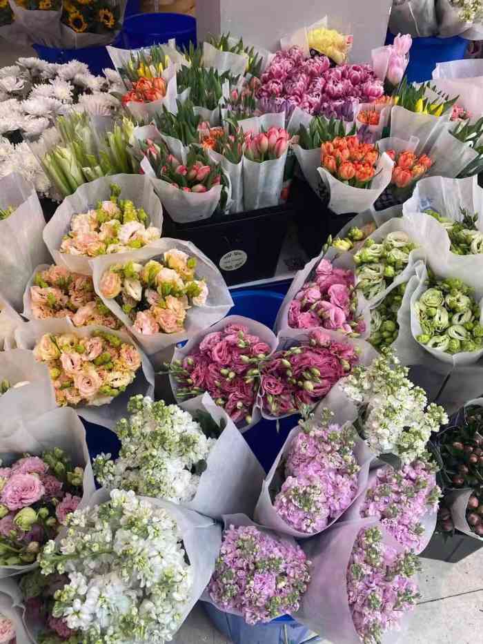 青岛市南山花鸟鱼石市场-"台东附近的花卉市场下午大概三点多过去的.