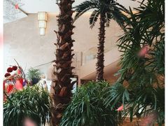 -常州环球恐龙城维景国际大酒店
