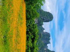 -明仕田园