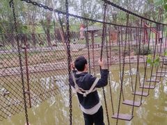 -杨柳青庄园