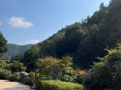 -桃花岭景区