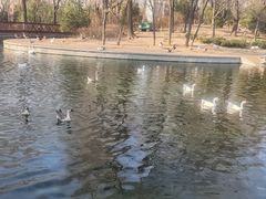 -太原动物园