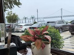 -天顺渔港·海景餐厅(星海广场店)