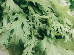 -百叶居·老北京涮羊肉(鼓楼店)