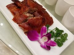 -小龙酒家(桂平路店)