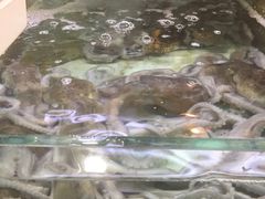 -班赞海鲜市场