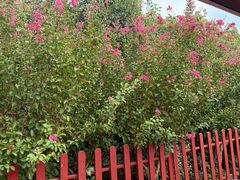 -武汉紫薇都市田园