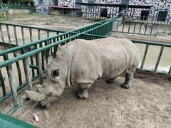 -哈尔滨北方森林动物园